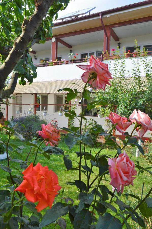 Hotel Casa Gia Costinești Exterior foto